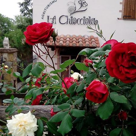 Agriturismo La Chiocciola Poggio Murella Εξωτερικό φωτογραφία
