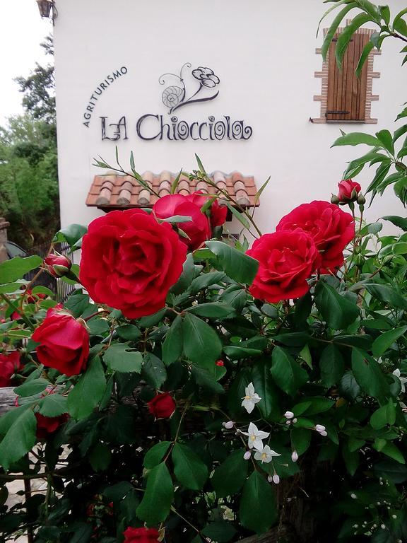 Agriturismo La Chiocciola Poggio Murella Εξωτερικό φωτογραφία