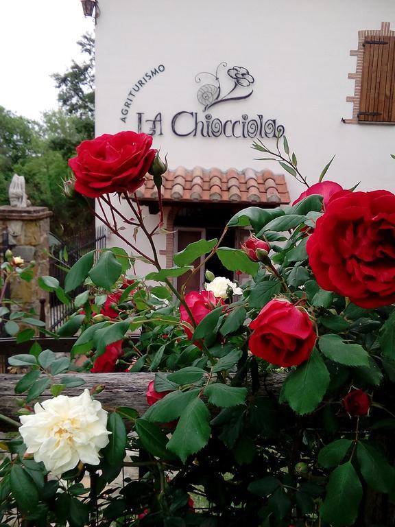 Agriturismo La Chiocciola Poggio Murella Εξωτερικό φωτογραφία