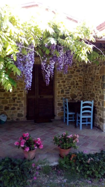 Agriturismo La Chiocciola Poggio Murella Εξωτερικό φωτογραφία