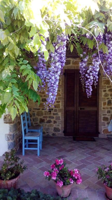 Agriturismo La Chiocciola Poggio Murella Εξωτερικό φωτογραφία